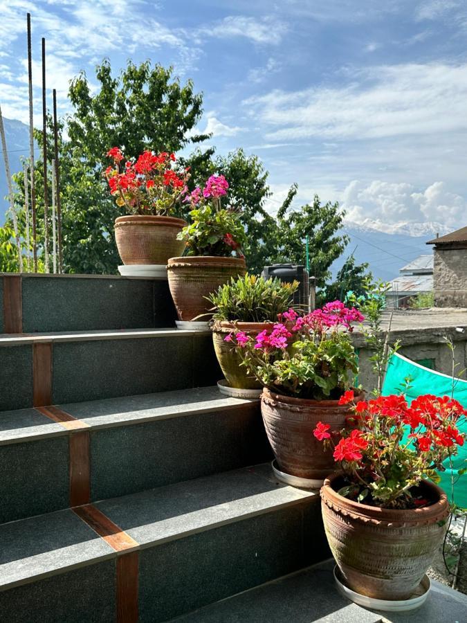Jal-Vayu Cottages Manāli Exterior foto